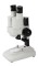 Binolupa 20x - stereoskopický mikroskop 3