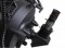 CELESTRON #12097 NEXSTAR 925 HD EVOLUTION (235/2350 mm) STARSENSE 2