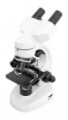 Student Bino 40-400x