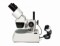 Mikroskop Levenhuk 3ST 1