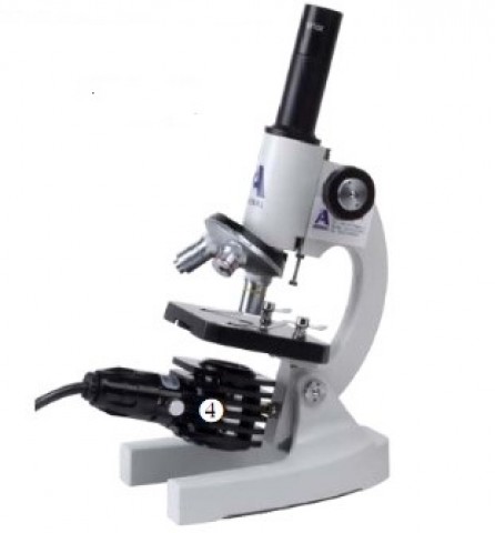 Mikroskop ALBERT II 