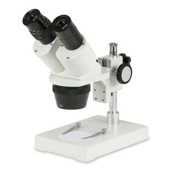 stereoskopický mikroskop
